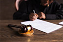 Constitutional Law